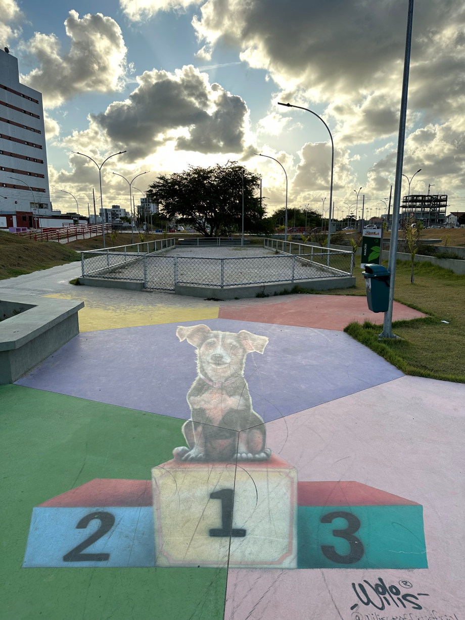 Imagem mostra área cercada com areia de uso exclusivo para pets e arte 3D de cachorro no pódio colorido no chão